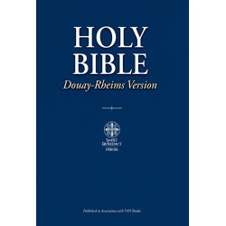 The Holy Bible Douay Rheims paperback